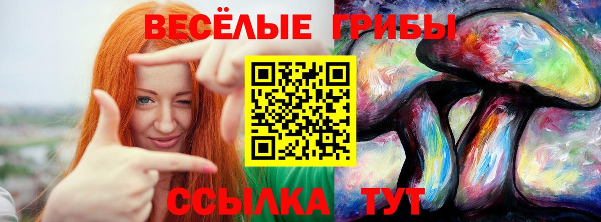 Псилоцибиновые грибы Psilocybe  Вход с VPN  Псилоцибиновые грибы мицелий  Стерлитамак 